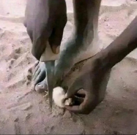 Age is just a number 😎😆🤗