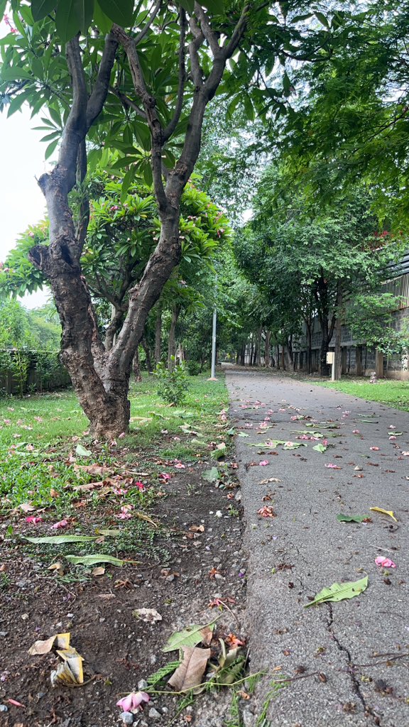 นัดได้ เหงาๆ tweet media