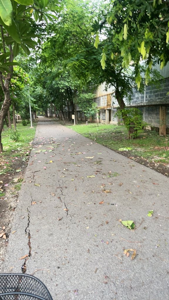 นัดได้ เหงาๆ tweet media