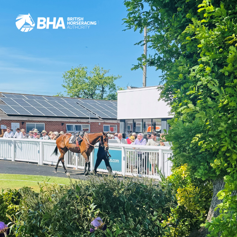 BHAHorseracing's tweet photo. 💬 “It’s all about making better informed decisions in the best interests of the horses”

Horses will wear heart monitors on British racecourses during a BHA pilot to test the technology under race conditions 🏇

Find out more ⤵