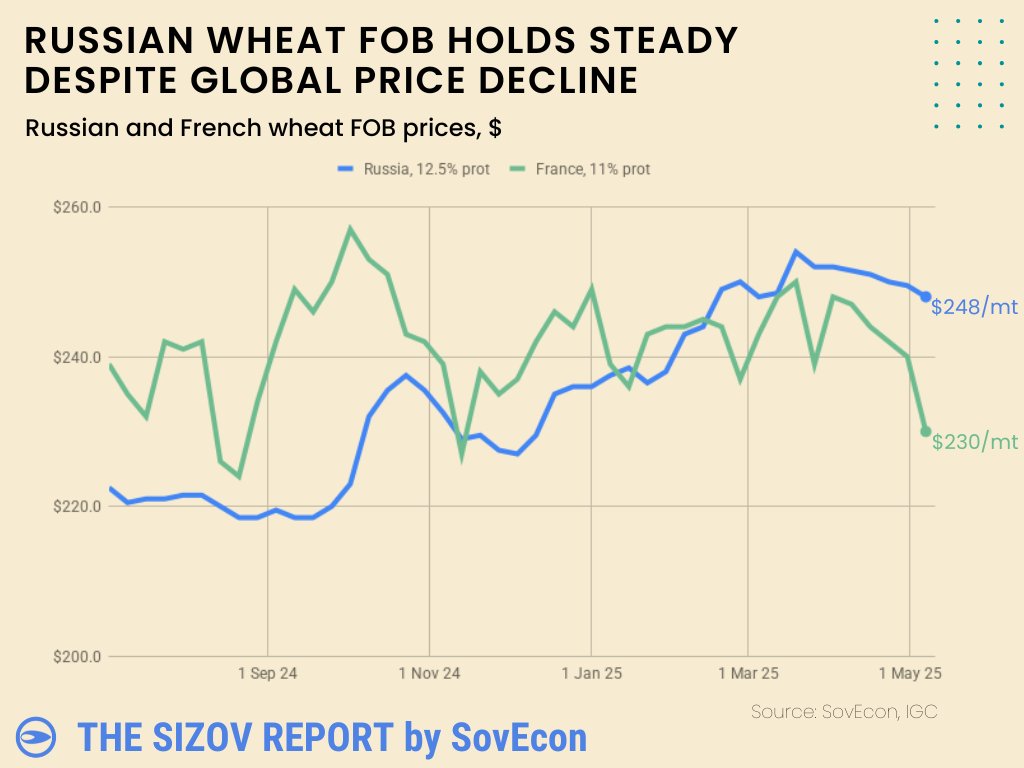 Russian #wheat FOB remains relatively stable despite the global price slide, reflecting tighter end-of-season supply, especially in key export regions. 📉

Domestic prices stay high, squeezing trader margins.

Shipments likely to remain slow through the season.

USDA’s 24/25