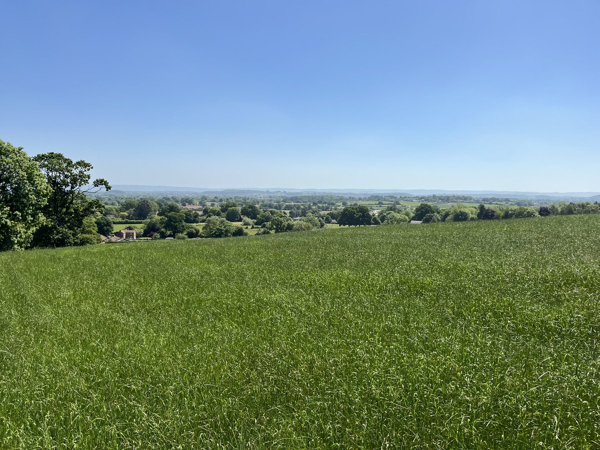 The climb was worth it! What a day to be out crop inspecting grass crops! <a href="/wearegerminal/">Germinal</a>