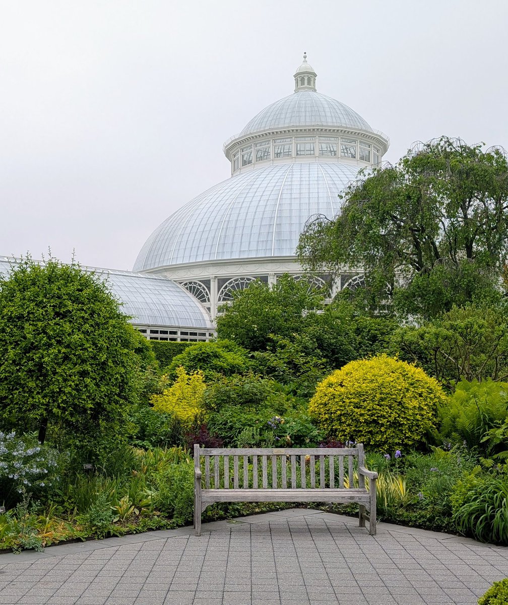 Martha Stewart (@marthastewart) on Twitter photo If you need gardening inspiration, go to the <a href="/NYBG/">New York Botanical Garden</a> and see its beautiful collections - perennials, peonies, trees, and more. See today’s themarthablog.com. If you need gardening inspiration, go to the <a href="/NYBG/">New York Botanical Garden</a> and see its beautiful collections - perennials, peonies, trees, and more. See today’s themarthablog.com.