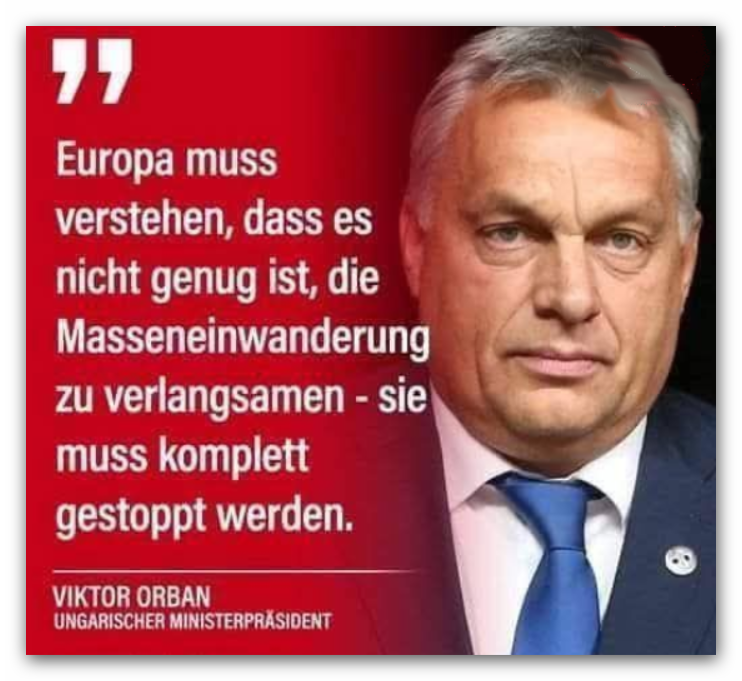 SILBER-FRAU tweet media