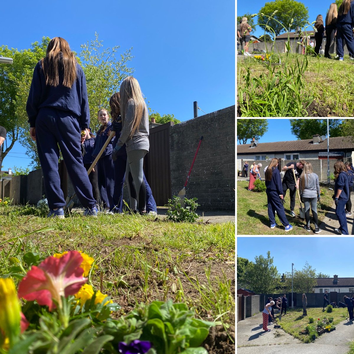 Localise Youth Volunteering (@localiseyouth) on Twitter photo Gardening in full swing in sunny Ballymun, a big thank you to the <a href="/TrinityComp_/">Trinity Comprehensive School</a> students for helping out #youthinaction <a href="/Education_Ire/">Department of Education and Youth</a> @DeptRCD <a href="/HMcEntee/">Helen McEntee TD</a> <a href="/jerrybuttimer/">Jerry Buttimer TD</a> #localiseyouth Gardening in full swing in sunny Ballymun, a big thank you to the <a href="/TrinityComp_/">Trinity Comprehensive School</a> students for helping out #youthinaction <a href="/Education_Ire/">Department of Education and Youth</a> @DeptRCD <a href="/HMcEntee/">Helen McEntee TD</a> <a href="/jerrybuttimer/">Jerry Buttimer TD</a> #localiseyouth