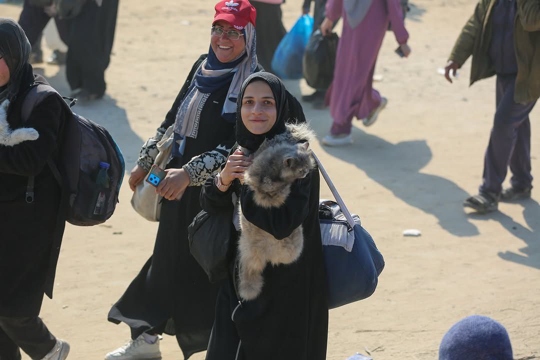 GHADA 🇵🇸 tweet media