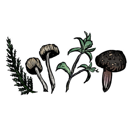 Working on the herbs and mushrooms of the forest.
ChaosWood RPG - Forsaken Tombs.

A dark fantasy tabletop role-playing game. Don't let chaos consume you.

Coming soon!

kickstarter.com/projects/xplor…