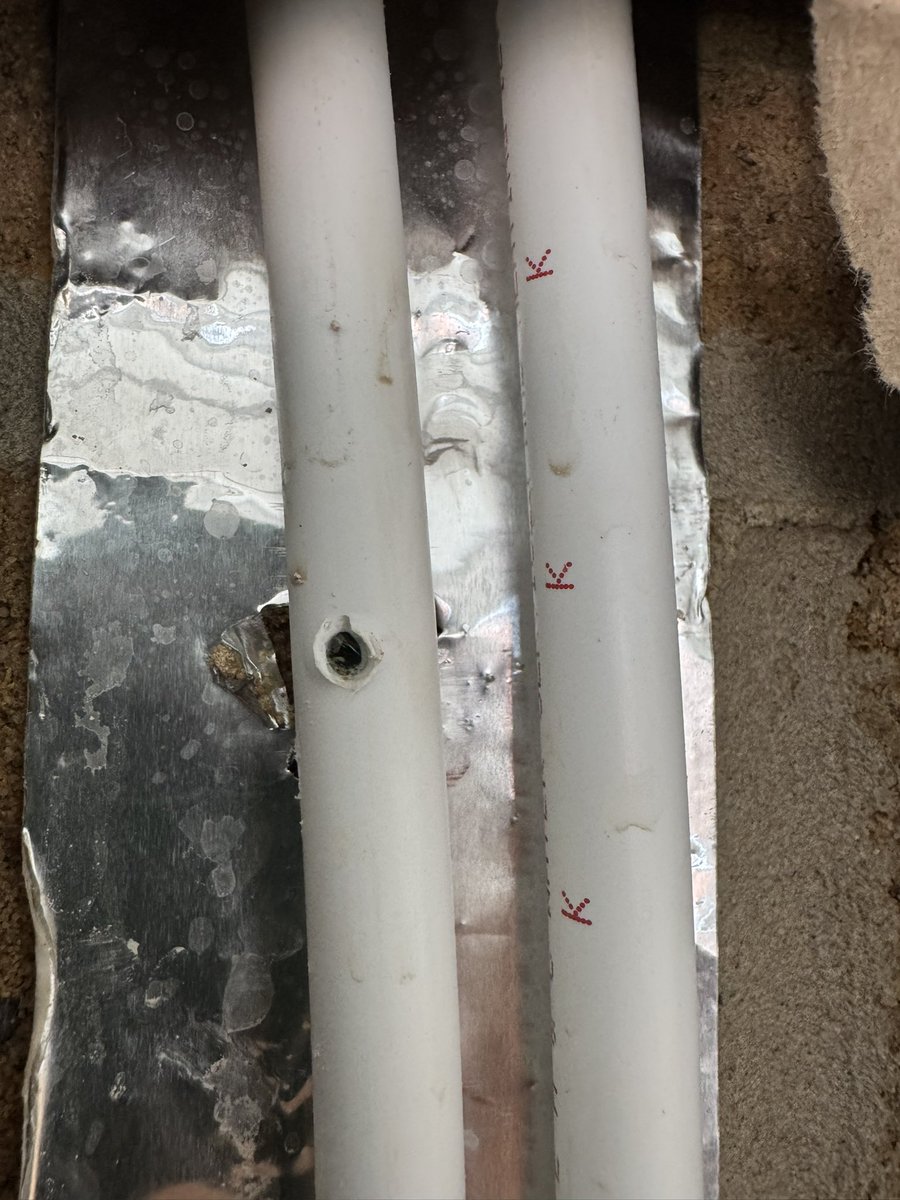 TheRunningManZ tweet media