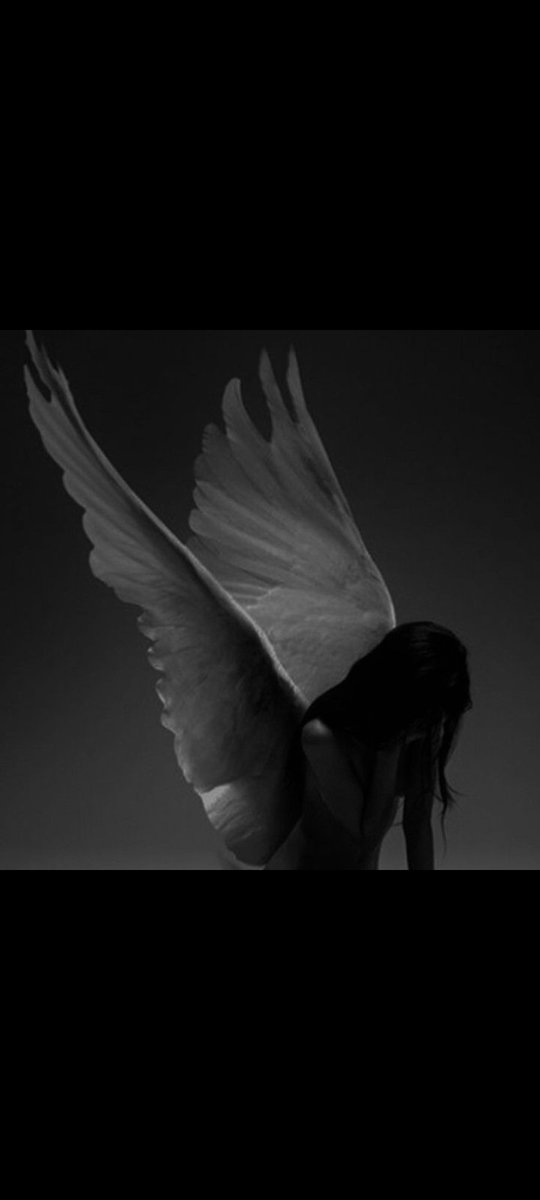 Biri anlatmalı
Siyah ile beyaz aynıdır
Gece ile gündüz aynıdır
Aynıdır aşk ile ayrılık
Sevgi ile nefret
Yaşam ile ölüm!..
Çünkü insana dairdir hepsi!.
İnsan ki; binlerce kusurun oluşturduğu kusursuzluktur!..
Ölümün koynunda Yaşam kokanlara yürekçe selam olsun!..
.
.
🍷🌾
.
.