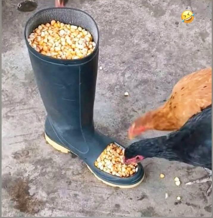 د کوم انجنیر موزه به وي 😄

#چل