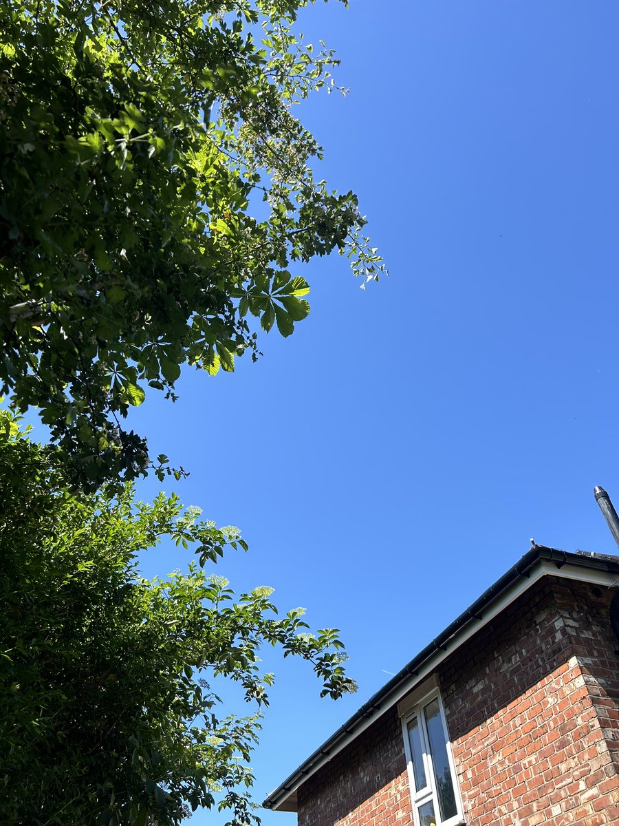 Sacred Ground tweet media