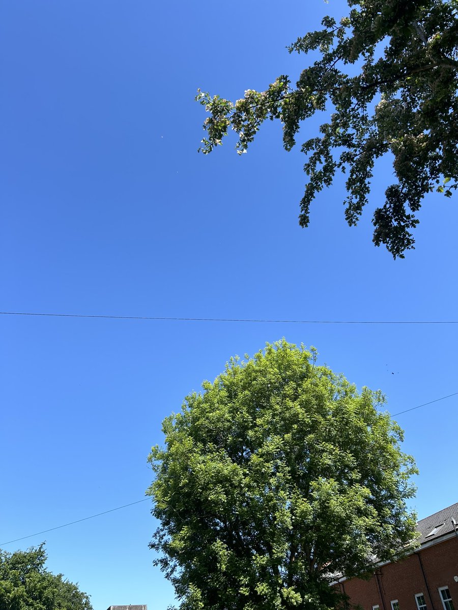 Sacred Ground tweet media