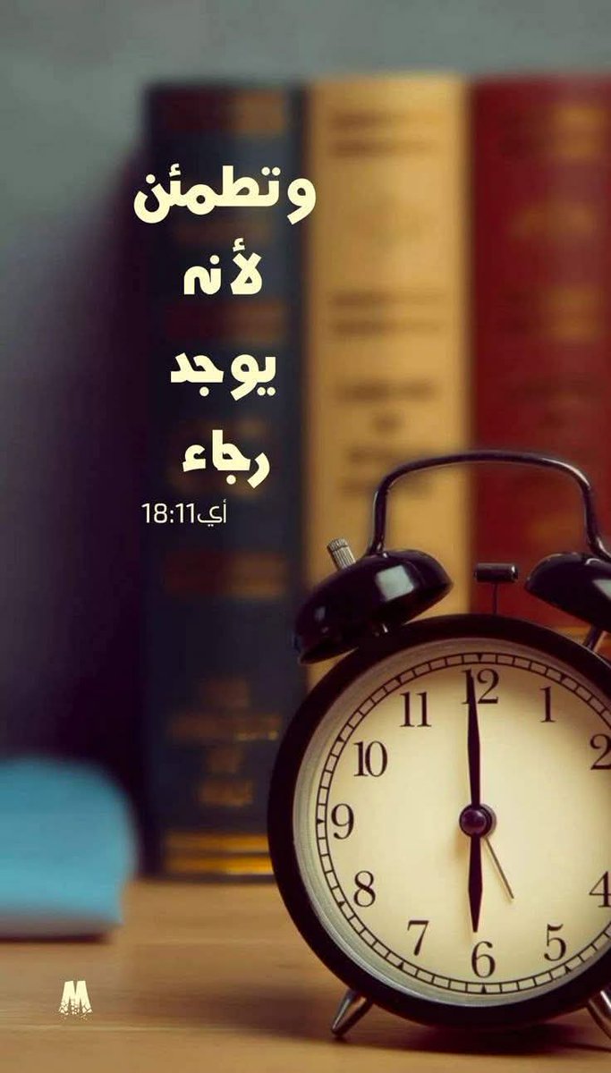 george abdalla ❤️ (@georgeezzat18) on Twitter photo 