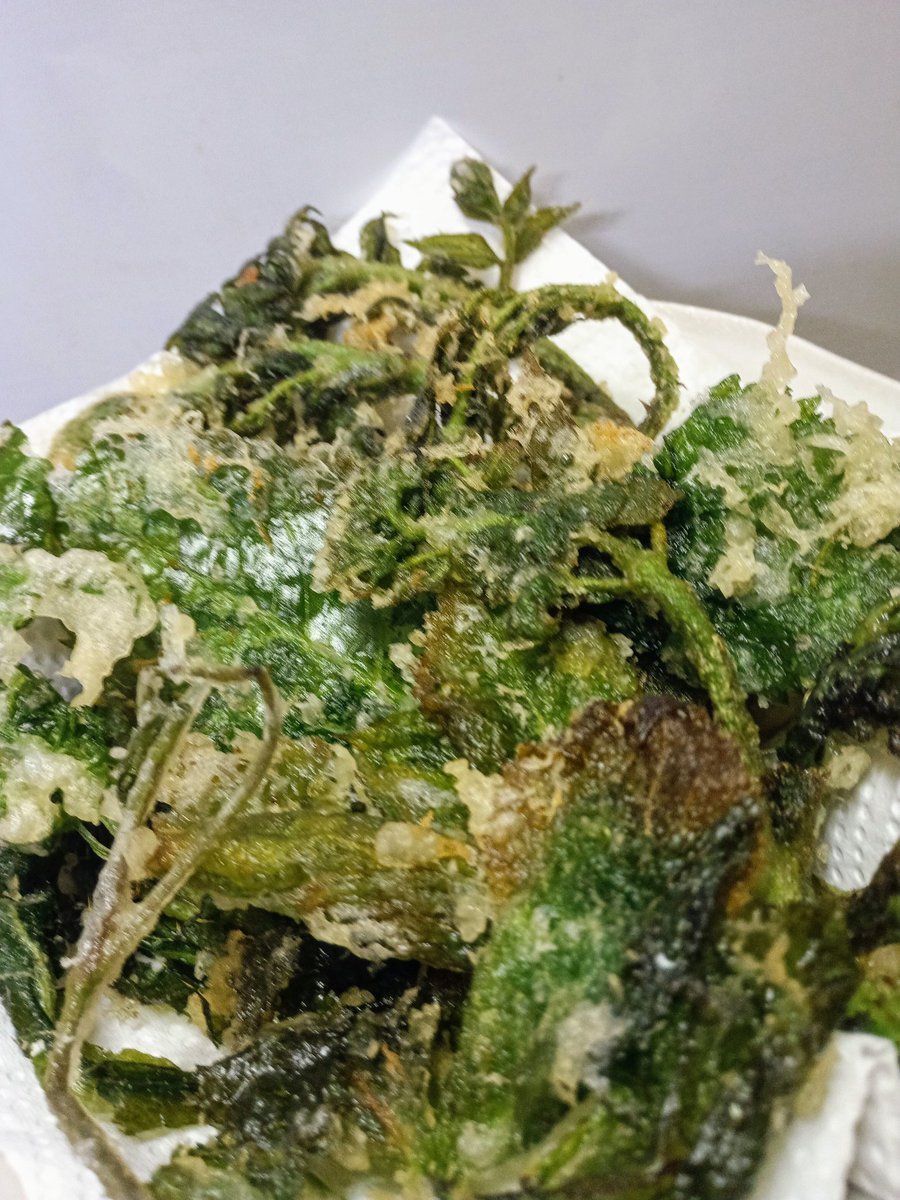 すてあか tweet media