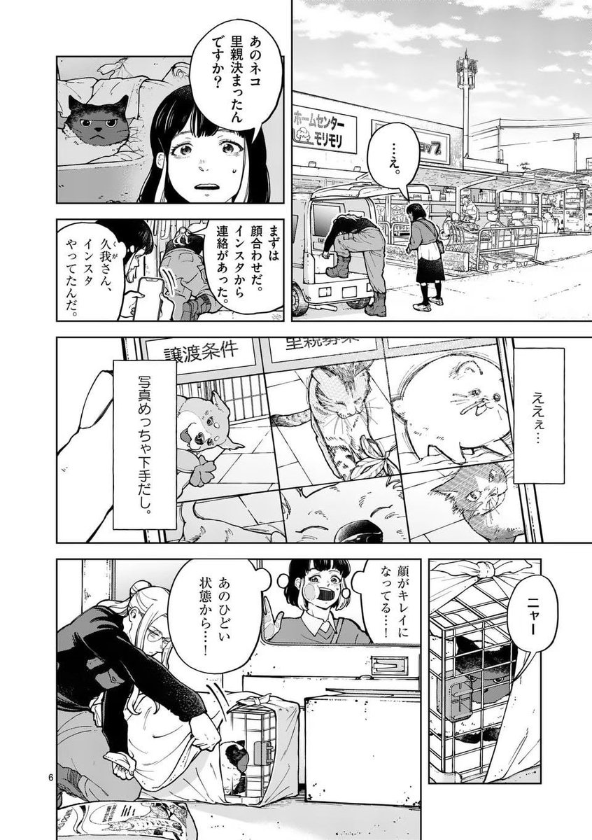 【保護犬猫】里親の条件が厳しすぎる!?(2/5) 