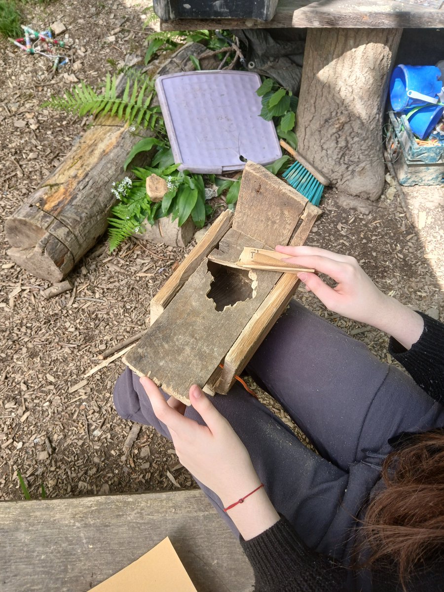 ACE Forest School tweet media
