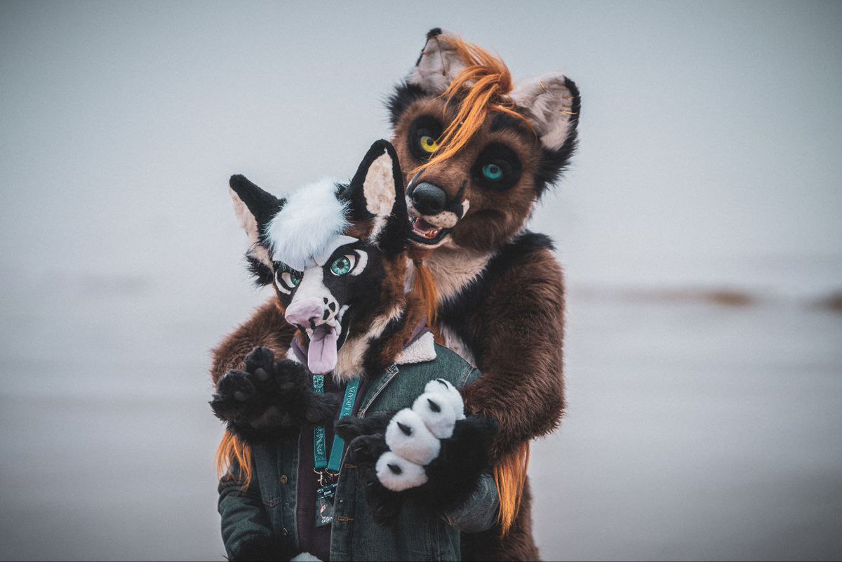 Rough Łapa tweet media