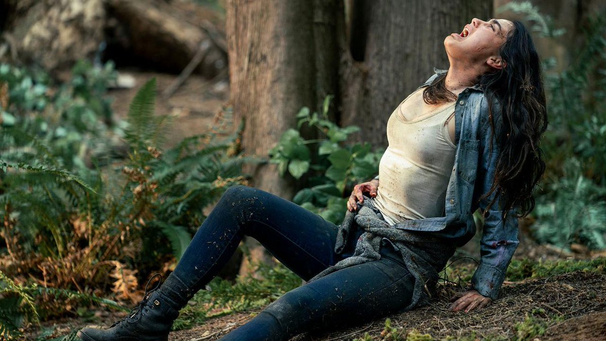 Le dernier épisode de la mini-série Respirer (S01E06) était d'une beauté saisissante.
Certains plans dans la forêt m'ont évoqué le cinéma de Terrence Malick