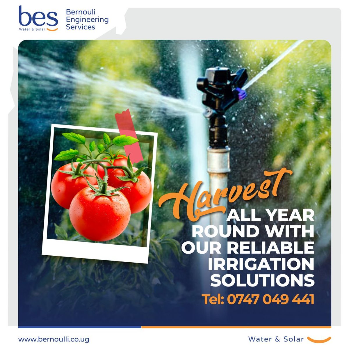 BESWater_Solar's tweet image. Harvest throughout the year with our reliable irrigation solutions at our Mbarara branch, located at Plot 13A, Mbarara Street, directly opposite Independence Park, or call us on 0747 047 441. #BESWaterAndSolar #IrrigationSolutions  #SustainableFarming #Agriculture #Irrigation