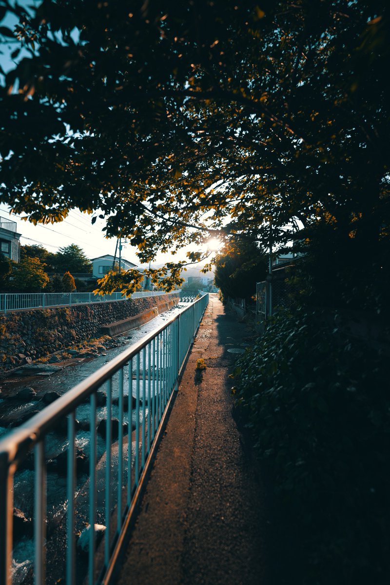 siglab110's tweet photo. 静寂

#LumixS9
#Sigma14mm
#Sigma14mmF12 https://t.co/jF7bntNZDL