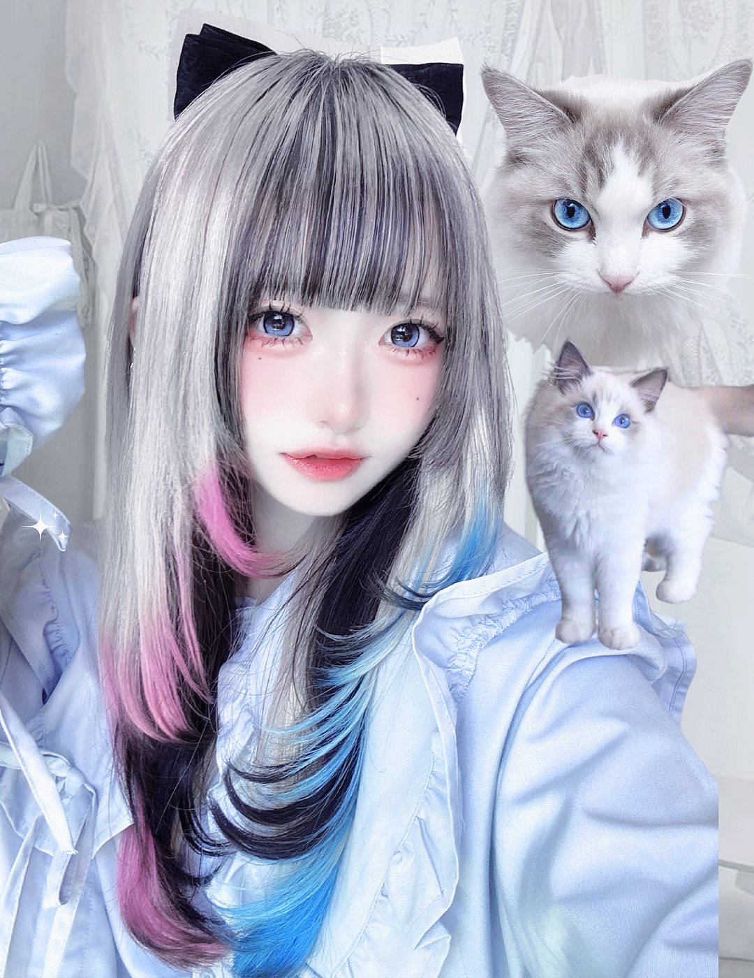 ちいねこ様　iriey lupilien2点おまとめ ねこちゃんホンポ | 新しいスタイ！似合ってるかな⁇🎀 フィア