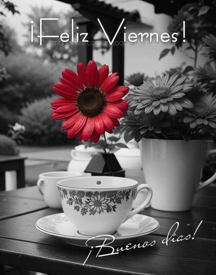 Lydia Esther tweet media