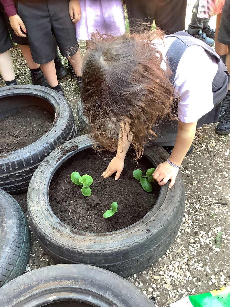 St Joseph's Catholic Primary School, Goole tweet media