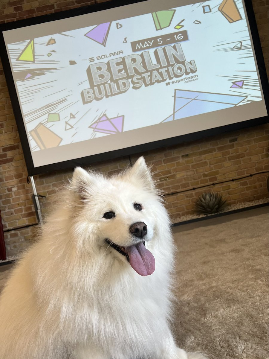 Last day at Berlin Build Station before the <a href="/solana/">Solana</a> hackathon breakout ends!
Luckily, we’ve got our emotional support lead on-site and ready. 🐶