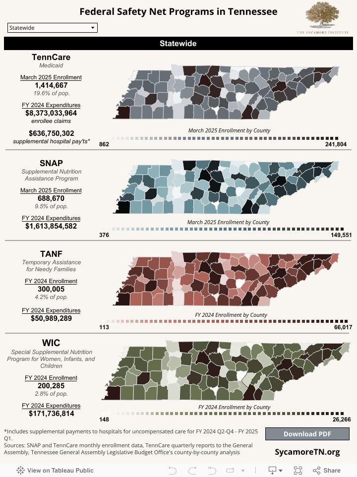 Changes in the federal budget could impact federal safety net programs in Tennessee. Check out The Sycamore Institute's newest dashboard to see program enrollment and expenditures by county. buff.ly/4WNN1kR