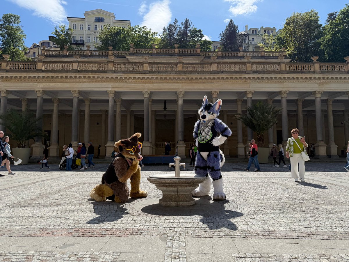 Coyote kisses taste like Whiskey @SOCOM @SFD @EAST (@whiskeybark) on Twitter photo "Stop posing for #FursuitFriday <a href="/AlexWuffky/">100% Orgasmic Blueberry</a> and help me to find this #KarlovyVary Pramen's setting for Whiskey!" "Stop posing for #FursuitFriday <a href="/AlexWuffky/">100% Orgasmic Blueberry</a> and help me to find this #KarlovyVary Pramen's setting for Whiskey!"