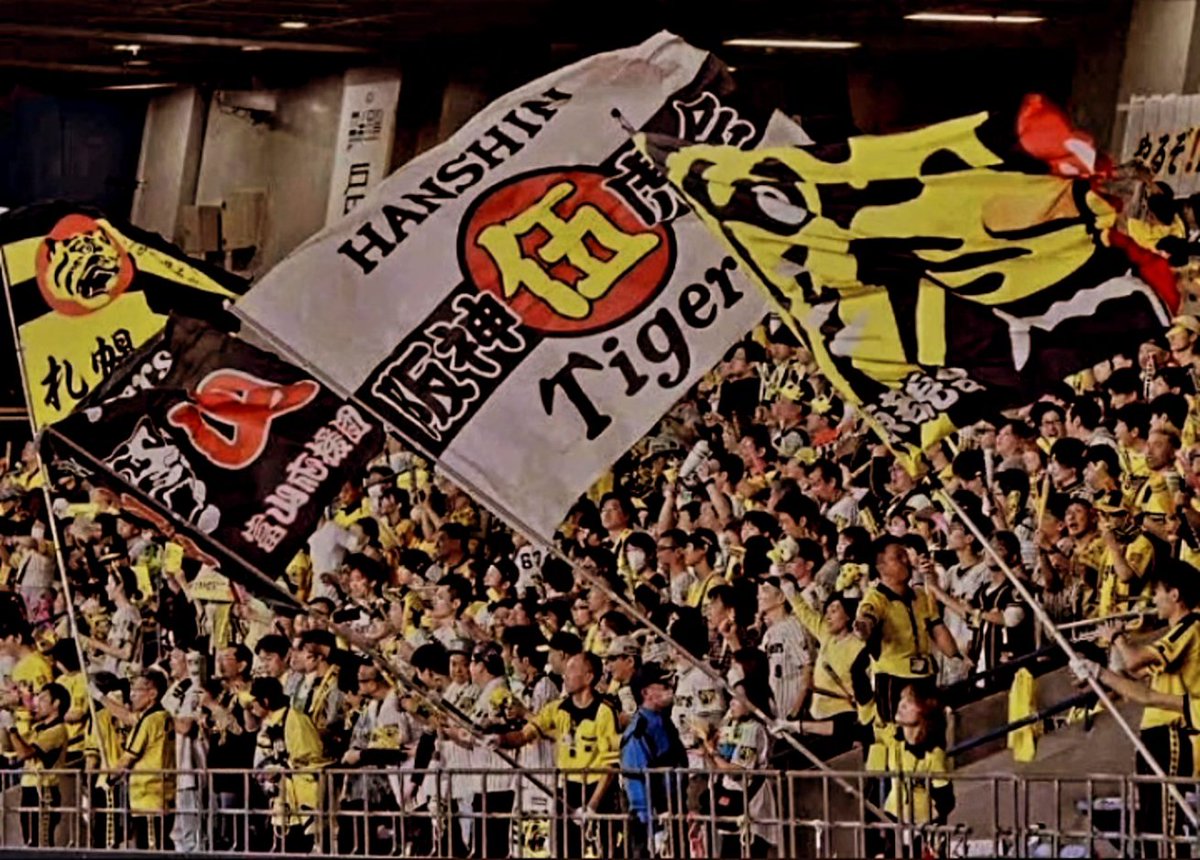 NPBのユニフォームを2枚目買いました。今回は阪神タイガースです。NPBファンと言えるかどうかは分かりませんが、ユニフォームのクオリティーには大変満足しています。皆さん、素敵な金曜日の夜をお過ごしください。

#阪神タイガース #NPB