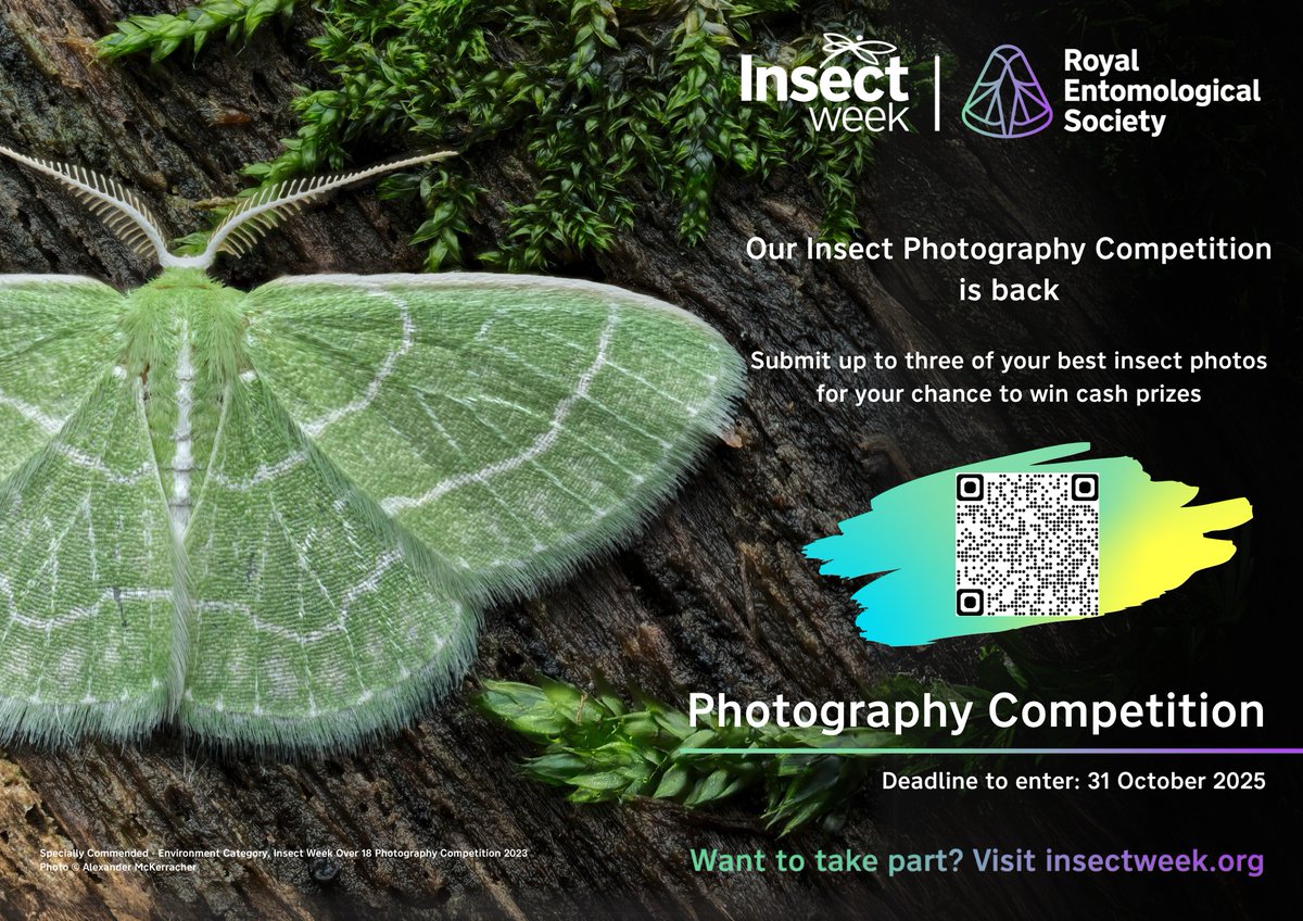 Did you know about the #InsectWeek #Photography #Competition? 🦋

Share your sightings taken from your windowsills, gardens or on a walk and show the world how incredible insects are for the chance to win great prizes (T&amp;Cs apply).

insectweek.org/art-and-photog…

#StandTallForTheSmall