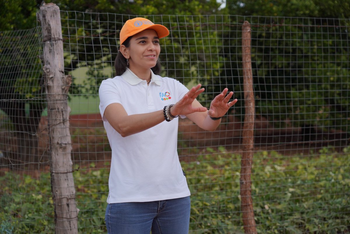 faosfsafrica's tweet photo. 🔎 Deep dive into the #ZEFPP project! @FAO Senior Regional Resilience Officer, Priya Gujadhur is observing the progress of crop breeding & sunflowet seed multiplication efforts at @FAO, #CBI, Government, & @AfDB_Group supported Mushandike Irrigation Scheme. #PlantTreaty https://t.co/OLvJJX12ad