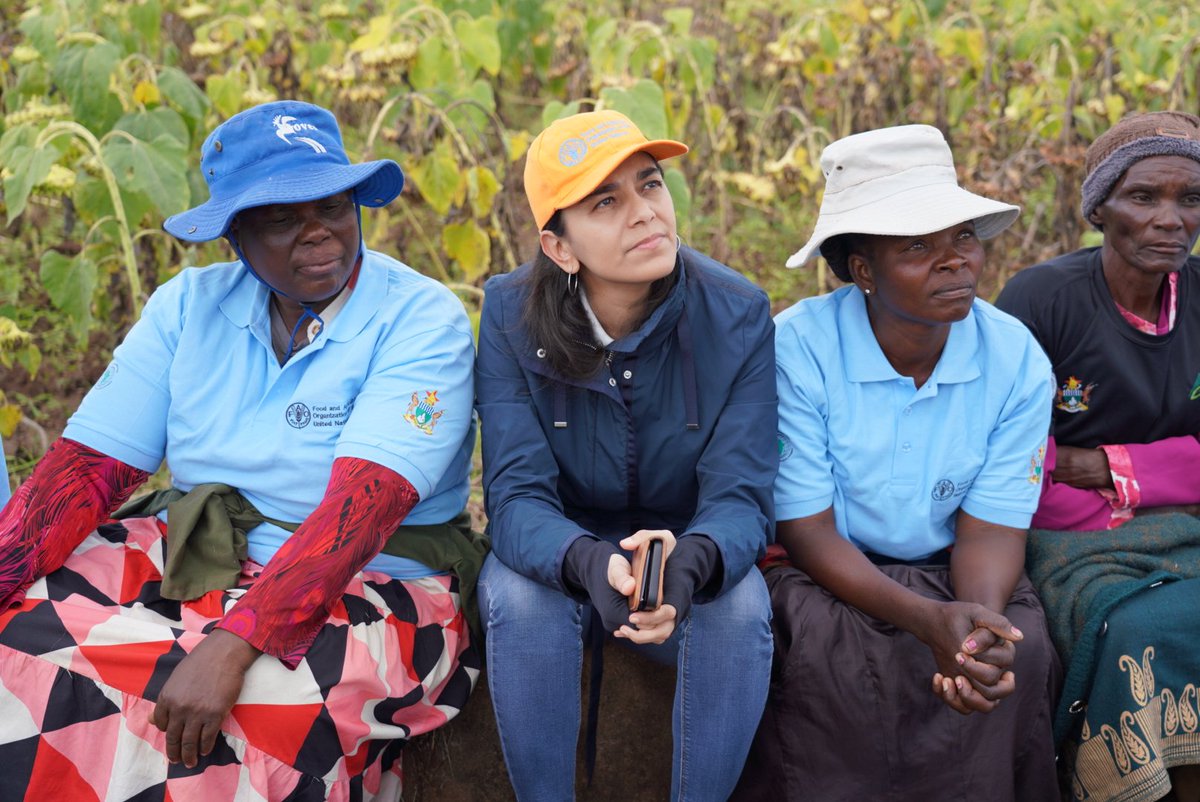 faosfsafrica's tweet photo. 🔎 Deep dive into the #ZEFPP project! @FAO Senior Regional Resilience Officer, Priya Gujadhur is observing the progress of crop breeding & sunflowet seed multiplication efforts at @FAO, #CBI, Government, & @AfDB_Group supported Mushandike Irrigation Scheme. #PlantTreaty https://t.co/OLvJJX12ad