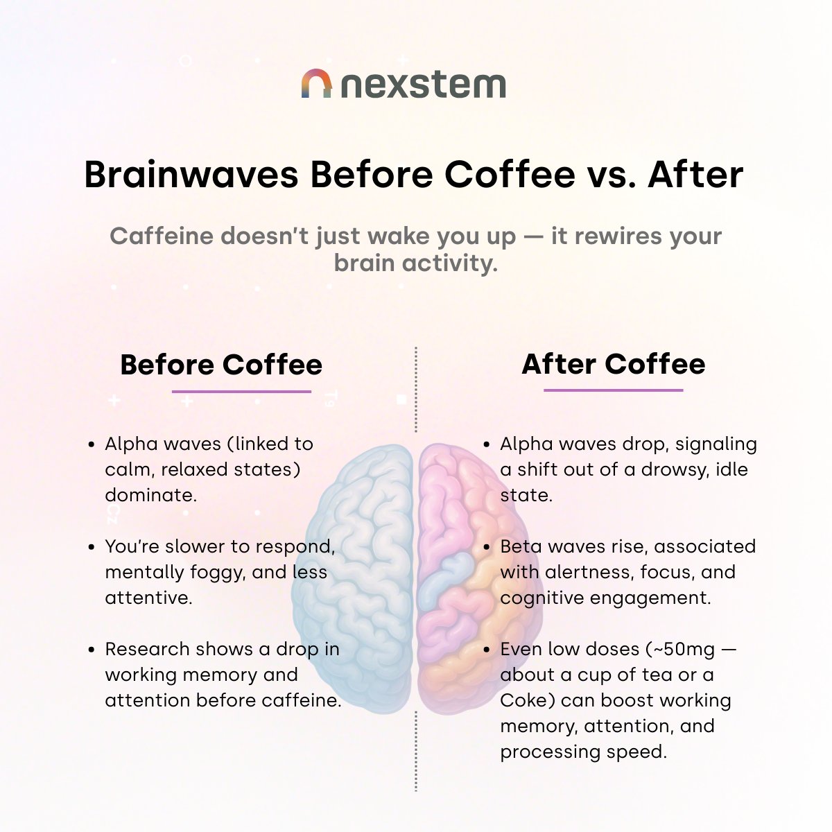 anthriq's tweet photo. You don’t just feel more awake after coffee — your brainwaves prove it.
EEG shows your brain literally shifts from idle to engaged — in under 30 minutes.
Caffeine doesn’t just wake you up. It rewires your brain.
🔗 https://t.co/NnctnfQlyx
#Neurotech #EEG #Nexstem https://t.co/W1T29b4jmq
