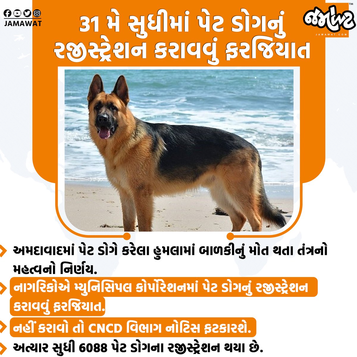 Jamawat3's tweet image. 31 મે સુધી પેટ ડોગનું રજીસ્ટ્રેશન નહીં કરાવો તો મુશ્કેલીઓ વધશે

#petdog #AMC #cncd #ahmedabad #jamawat #Jamawatupdate