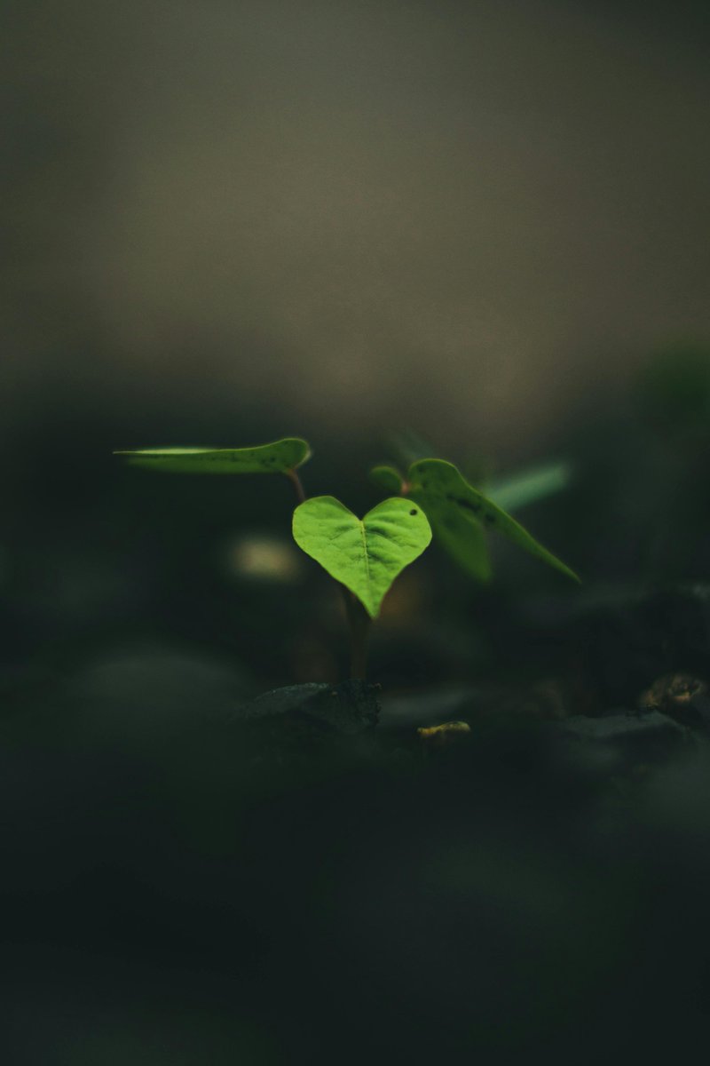 drverse01's tweet photo. “In everything Man must do or has become, there is always a little beginning.” https://t.co/Ig7cHHEquV