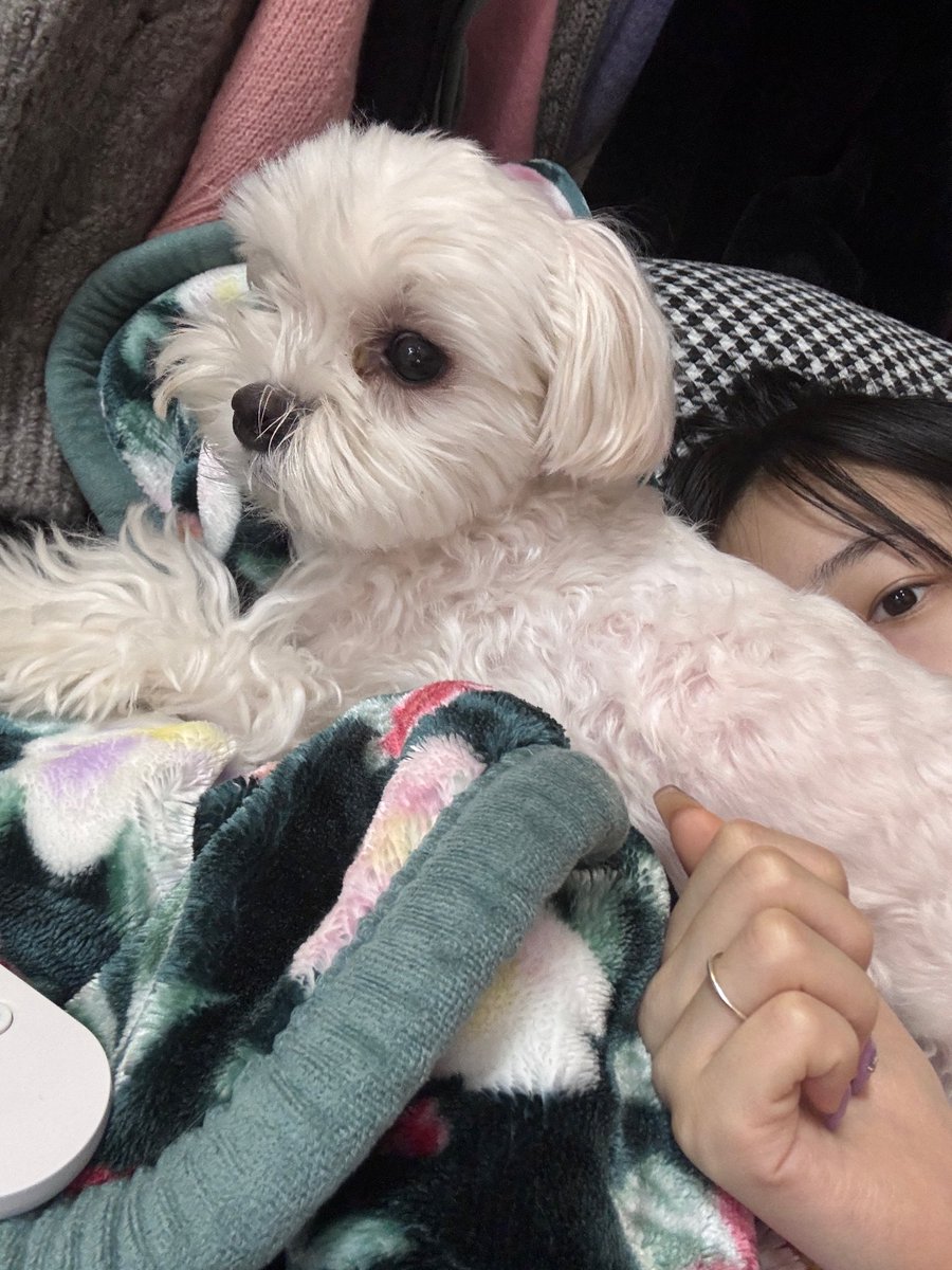 imyeojinmedia's tweet photo. yeojin fromm update https://t.co/0WgXIuJGiJ