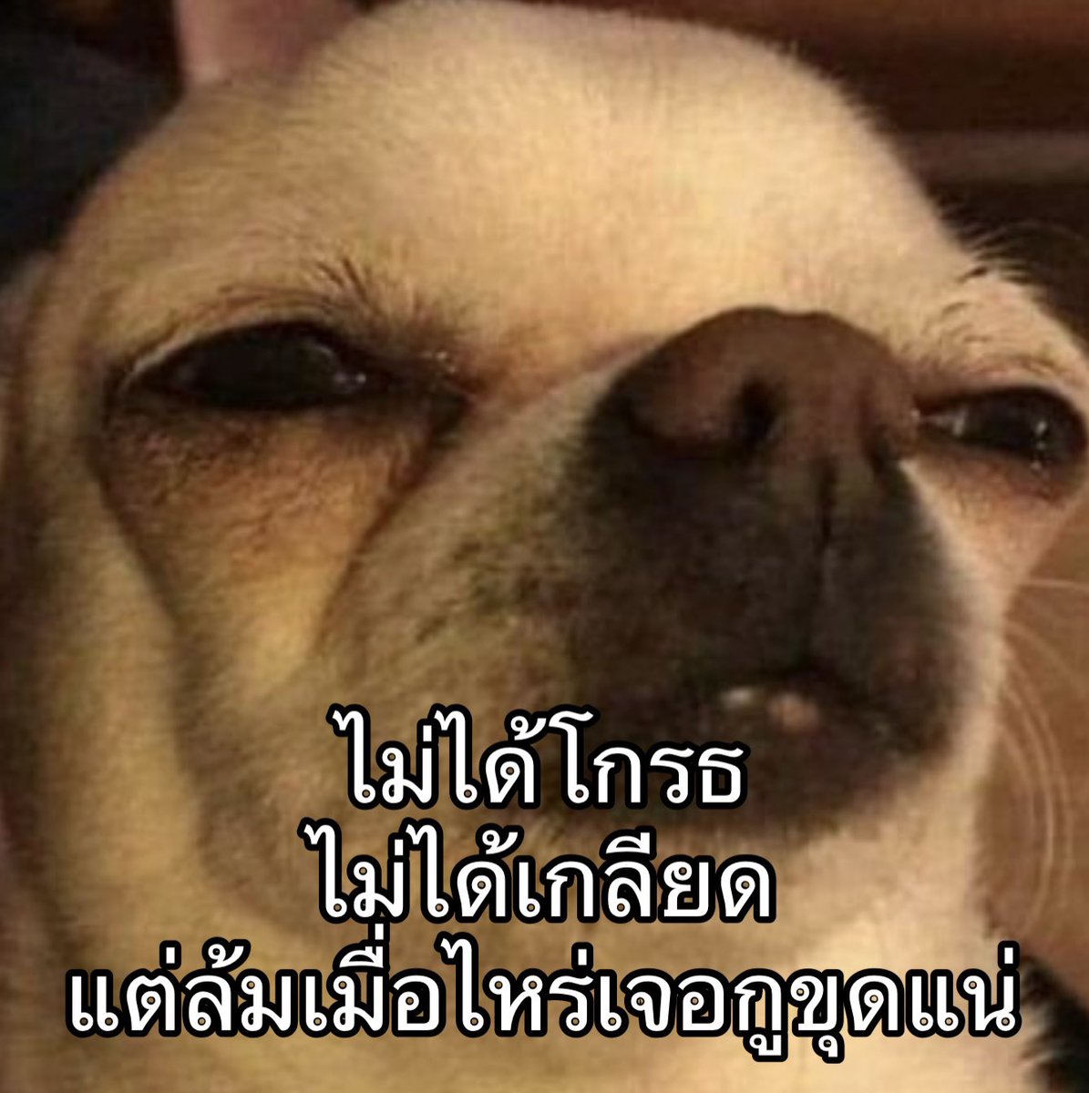 IMeSayIt's tweet photo. ความสัมพันธ์แบบชาวเน็ต https://t.co/vlY7rLO3Yd