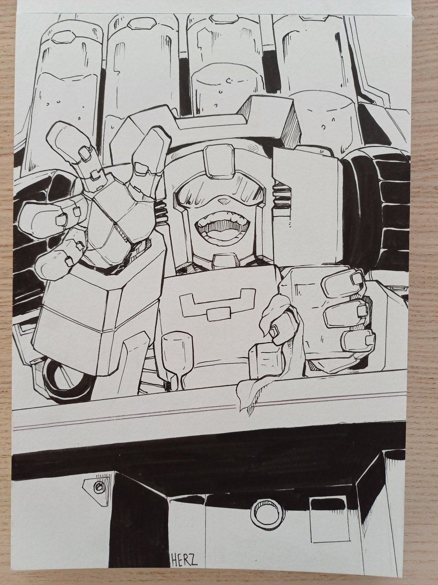 Swerve is finished and ready to go home to his owner ❤️