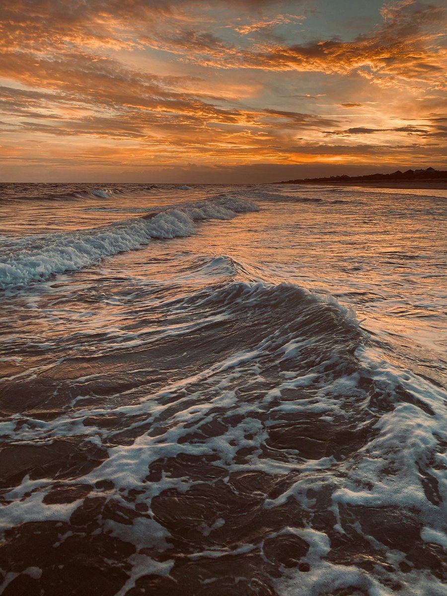 earthcurated's tweet photo. Post a Picture you took. Just a pic. No description. https://t.co/O2bTrbSfqR