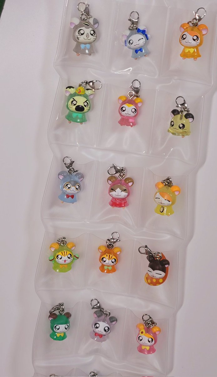 ひとハムひとハムお部屋に入ってもらうのもかわいい。