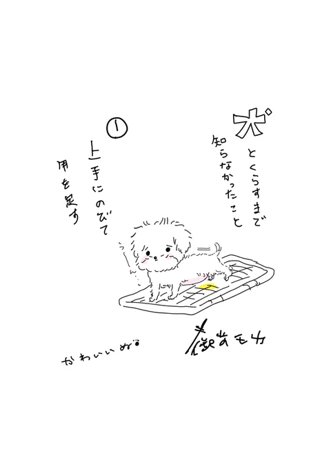後ろ足だけ少し屈ませます(●'ϖ`●)かわいいぬ🐶 