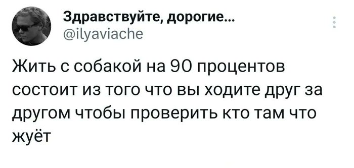 Завтра в ЖК «Салават Купере» организуют бесплатную вакцинацию домашних животных от бешенства. Делимся с вами графиком работы мобильного пункта

entermedia.io/news/v-zhk-sal…