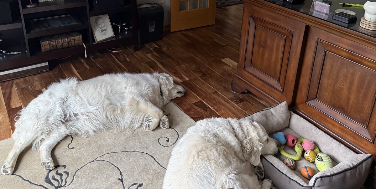 Get ready for the weekend NorthernTails Nation!  These guys are doing their slow roll to get ready!  Have a great day!