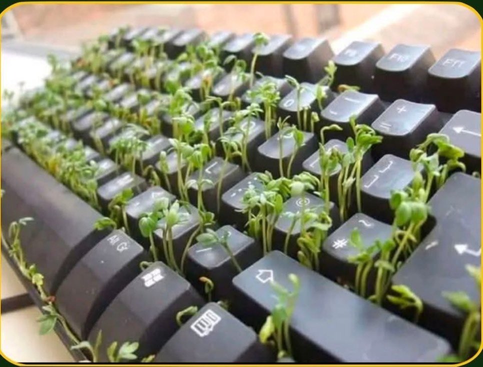 _devJNS's tweet image. coding and touching grass at the same time 💆🏽♂️😅