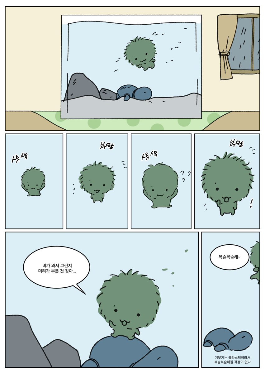 쭈리모 이야기
비오는날엔 묘하게 복슬복슬해진다