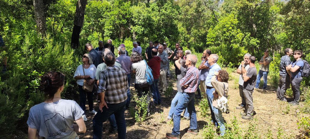 Parlant d'actuacions de prevenció d'incendis forestals i gestió de restes en actuacions que vam executar en un #PEG a la finca Can Burgada.
42 Jornades Tècniques Silvícoles Emili Garolera
#graf #prevencioGIF #GIF #gestioforestal