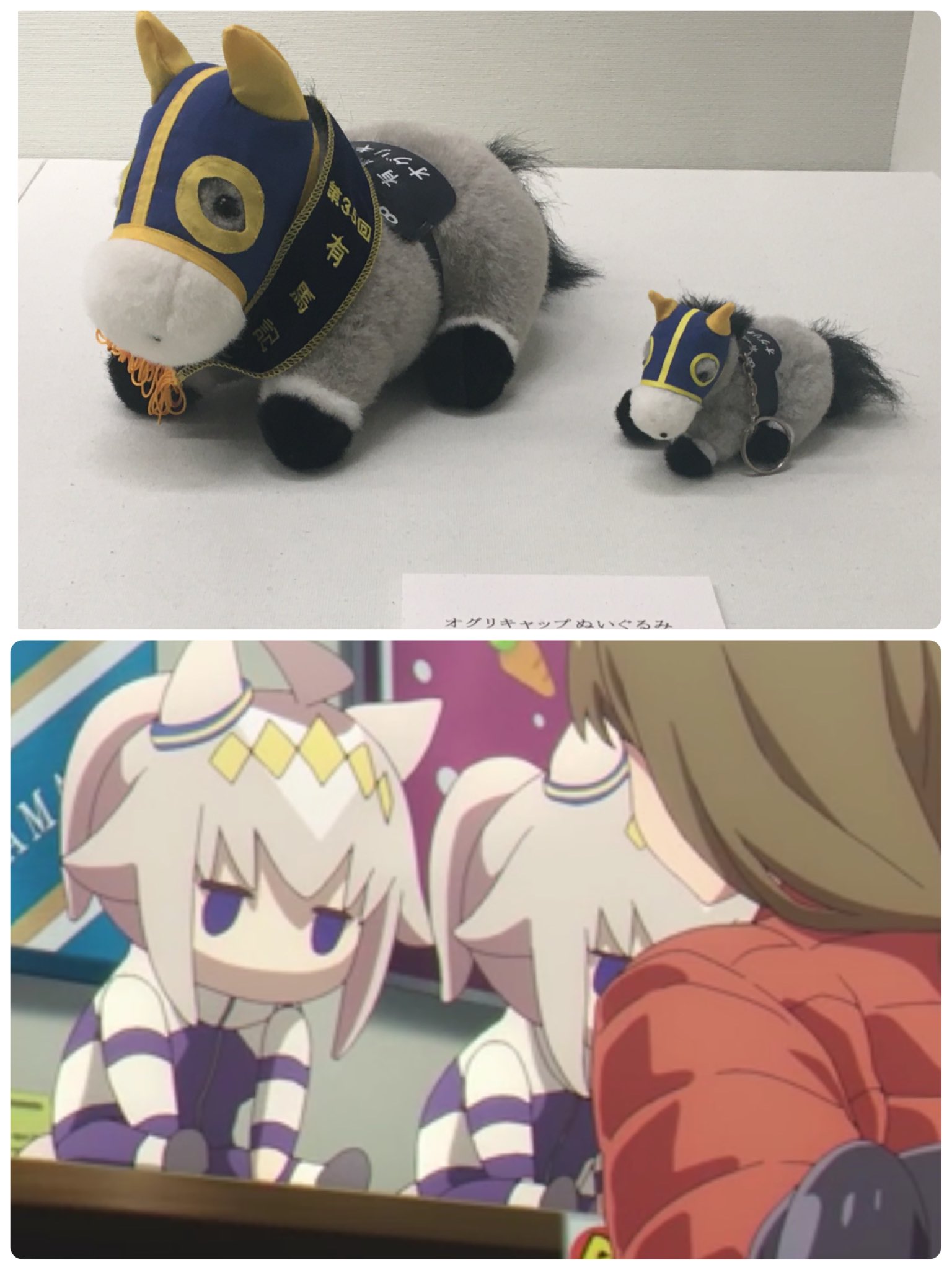 Amazon.co.jp: オグリキャップ ぬいぐるみ アイドルホース 競馬
