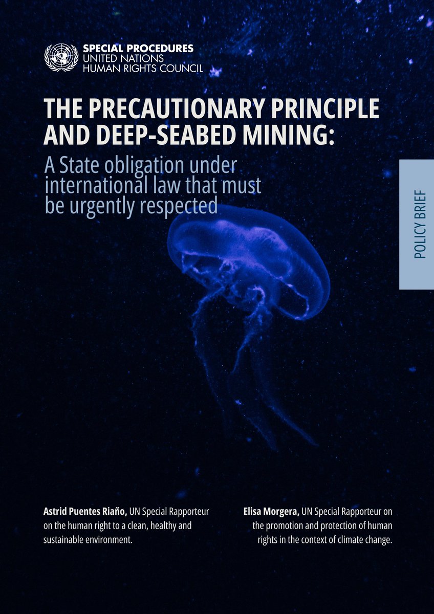🪼 Delighted to share this Policy Brief on ‘The Precautionary Principle and Deep-Seabed Mining: A State obligation under international law that must be urgently respected’, prepared with <a href="/SRclimatechange/">SR human rights & climate change, Elisa Morgera</a>  

🔗 Available here: ohchr.org/sites/default/…

#DeepSea